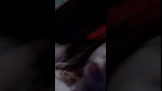 любимый зайчик