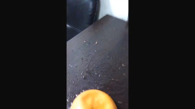 Домовладелец Мастер