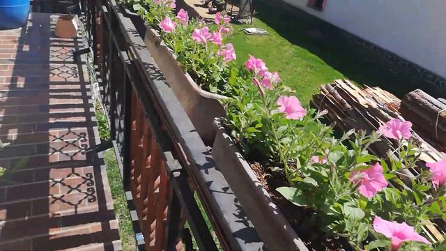 Начало украшения балконов цветами.