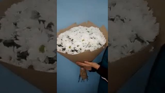 БУКЕТ ИЗ 19 БЕЛЫХ ХРИЗАНТЕМ В КРАФТЕ
