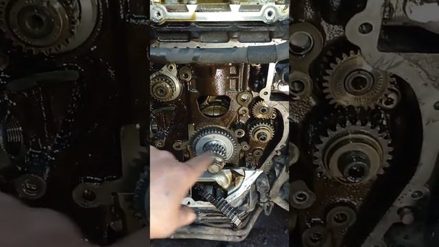 Замена и установка цепи ГРМ