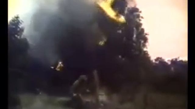 Грустные ивы-Государственная граница