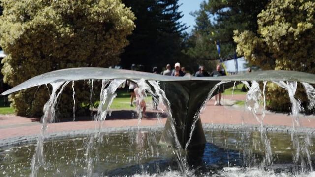 Vlog Of Victor Harbor South Australia! (GRANITE Island And Horse Drawn Tram In 4k)
