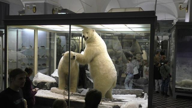 91d0e8fb24c5a500ca9abec02c042d94