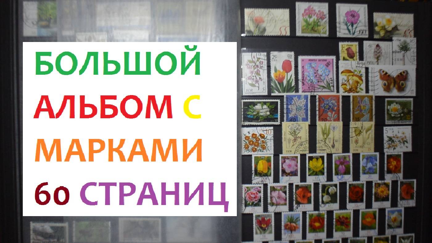 Большой альбом с марками 60 страниц