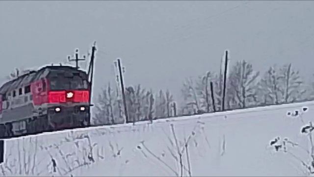 Тепловоз ТЭП70-0480 с пригородным поездом Ивдель-Алябьево.