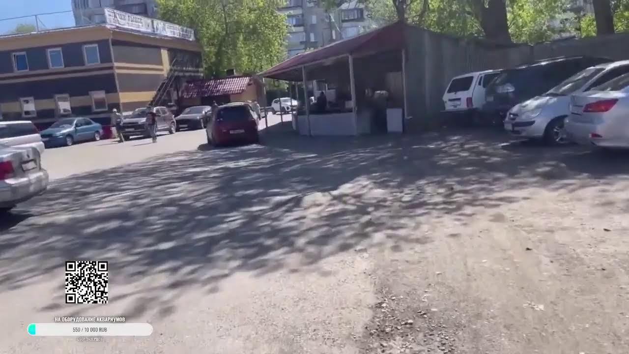 птичий рынок