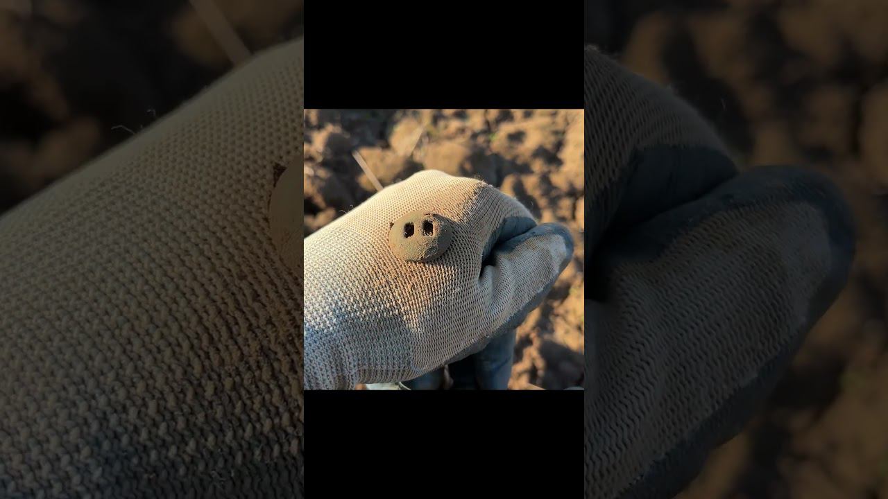 Простая конина... но для меня это кусочек истории #deus #metaldetecting #металлоискатель