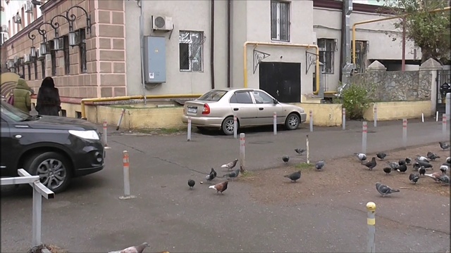 Первый снег Приставы ПДД ч.2 Краснодар