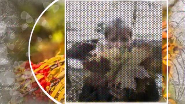 Петербургская полуосень