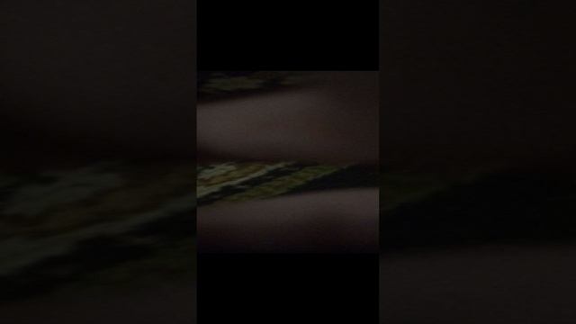 старона монстров Возвращение.3gp