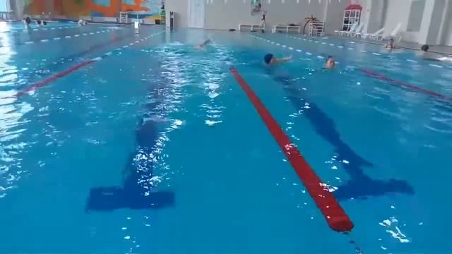 Плыву для тотальной эволюции