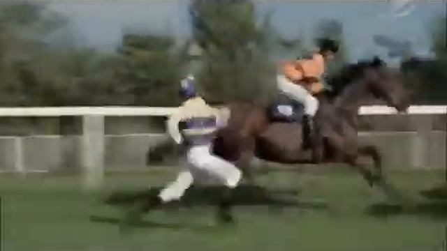 Смешная реклама Каннские львы Avi