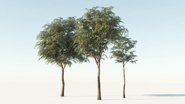 Free 3D Models Package - 3D-MODELS.COM