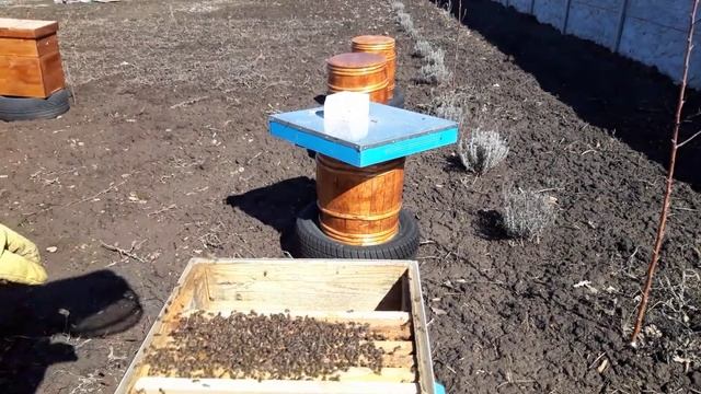 Aa63bba5e78e0db41246ff93b947e400