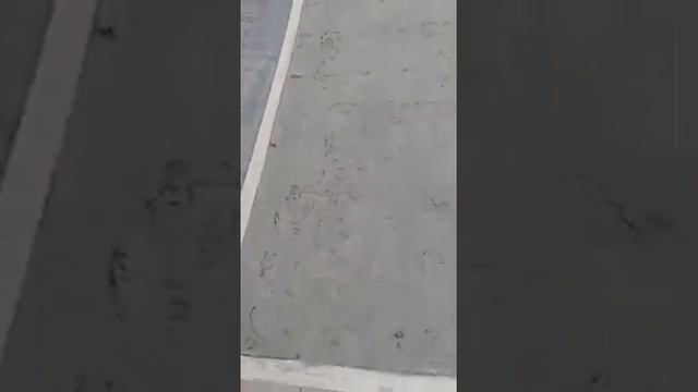 D8adadd9058fe67551a2fd1afb4f2166