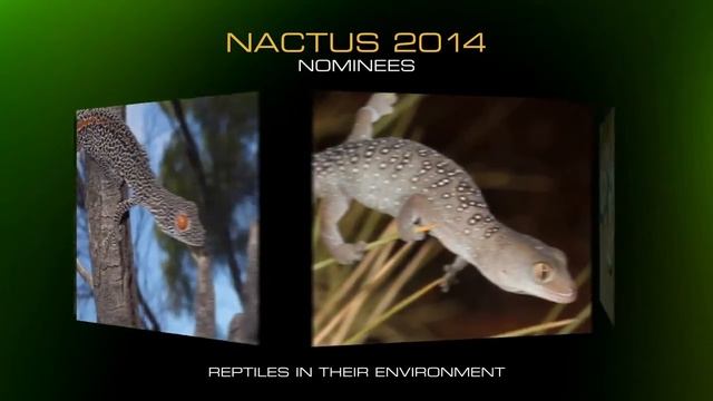 Nactus 2014 Vote Now!