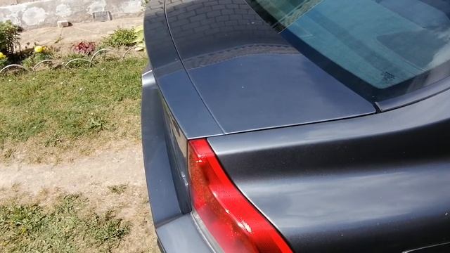 Ремонтная жизнь