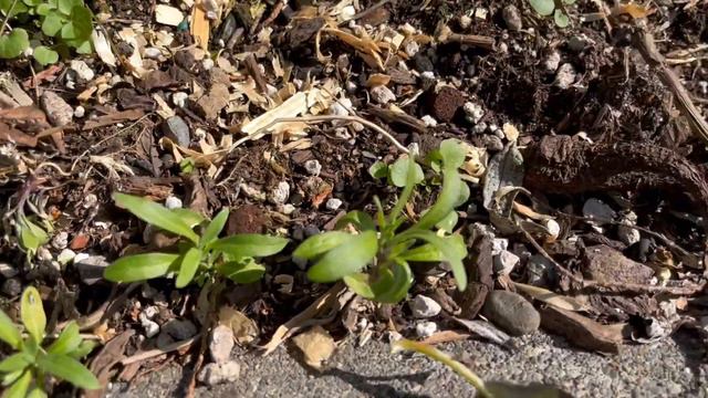 71bfb6de8b2f437978ea30d97d22e217