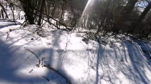 Весенняя прогулка.