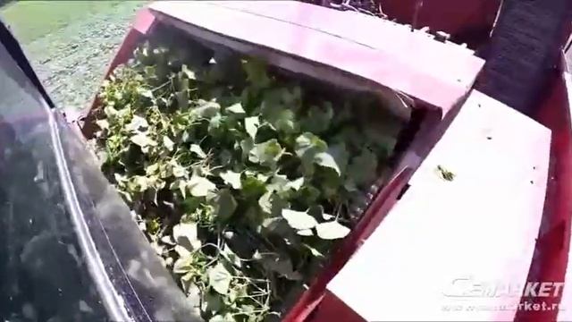 3a0e43189509a6ffd45713488c3fc724