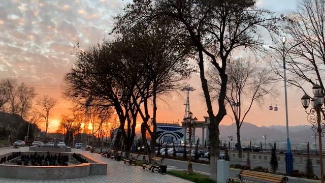 Ритмы Визуализации