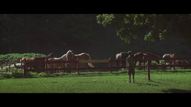 The.Strange.Ones.2017.1080p.WEB-DL.DD5.1.H264-FGT (1)_clip2