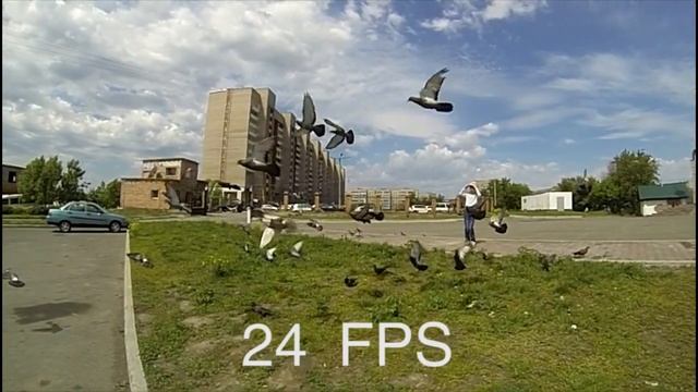 240 FPS GoPro Hero 3 BE To 24 Fps And 15 Fps