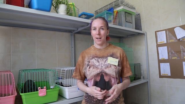 E01a71c3740494837ee06e83ac21a3ee