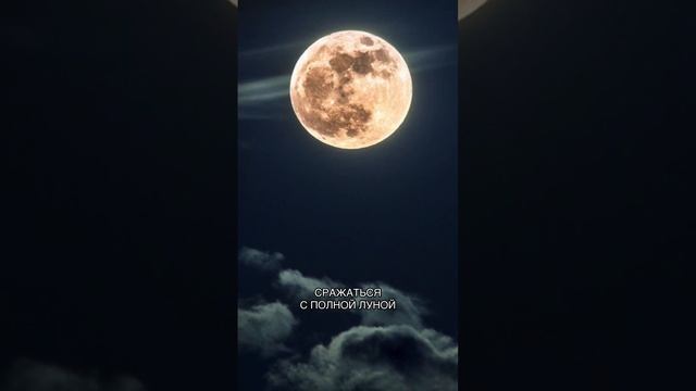 Удивительная нивхская сказка на ночь