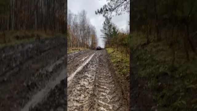 C7091f0094e8d51755c4501068e6a16f