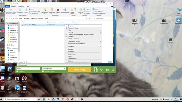 как скачать мод на лаки блок ! (1.16.6)