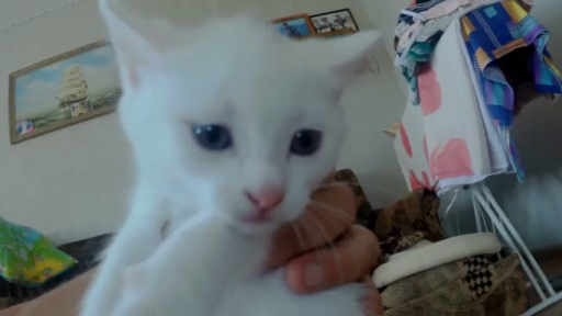 C0c0b1b76fb5f4bc9e43c53efad0e9db