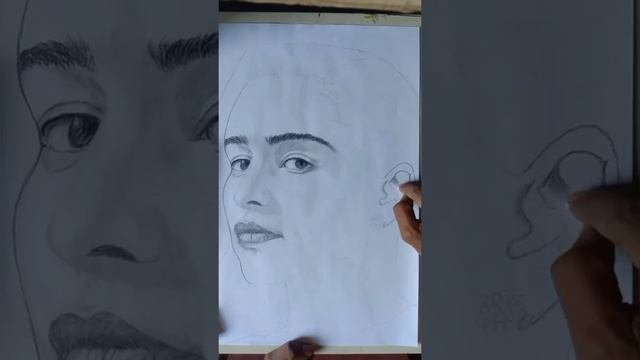 How To Draw Emilia Clarke | Pencil Portrait Sketch | By Dream Sketch