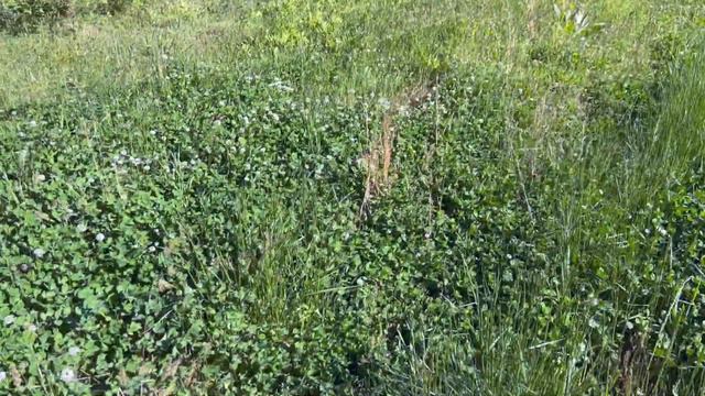 3cda725fbde166a94957b55ece843aa6