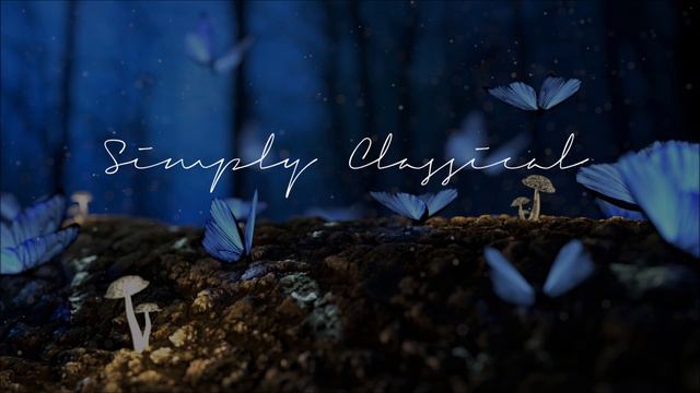 The Fantastic Works Of Bach - Vol 6 (HQ)