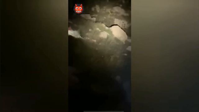 прыгнул в землю и исчез