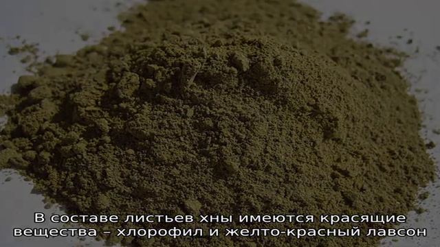 Роскошные Расчески