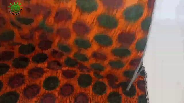 02b47243c1518872fd2c1aa4744d9860