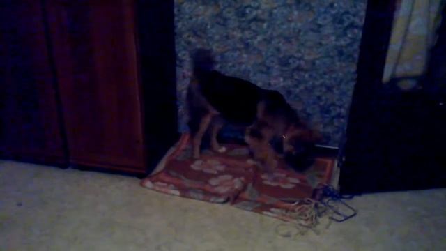 63a91a325dc5520bcaa793f44df02921