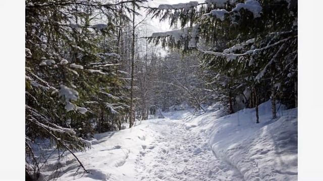 A86a74e3fc44a07f4161498b584df7ac