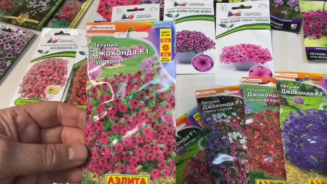 ПЕТУНИИ НА 2024 СЕЗОН. МОЙ ВЫБОР.