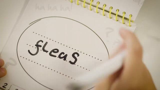 Telestrations Boardgame TV Ad (2017)