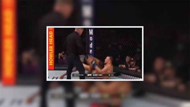 Петра Яна обокрали!? / Бёрнс-Чимаев; Волкановский-Корейский Зомби ОБЗОР #UFC273