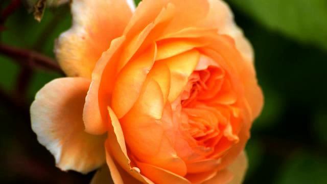 Слушать крутую русскую новинку про любовь онлайн