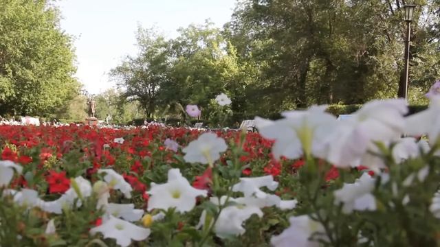 Малышина Забота: Секреты Радостного Роста