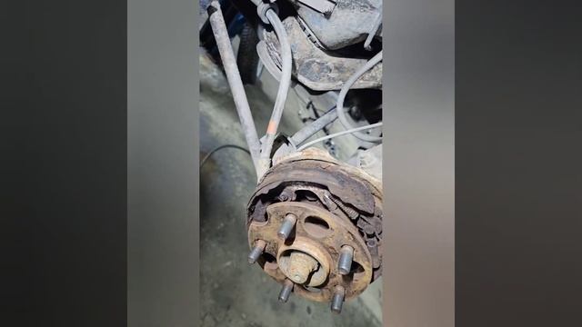 Автомобильные эксклюзивы