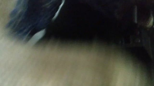 Ремонт дверей: снятие обшивки и замена ручек