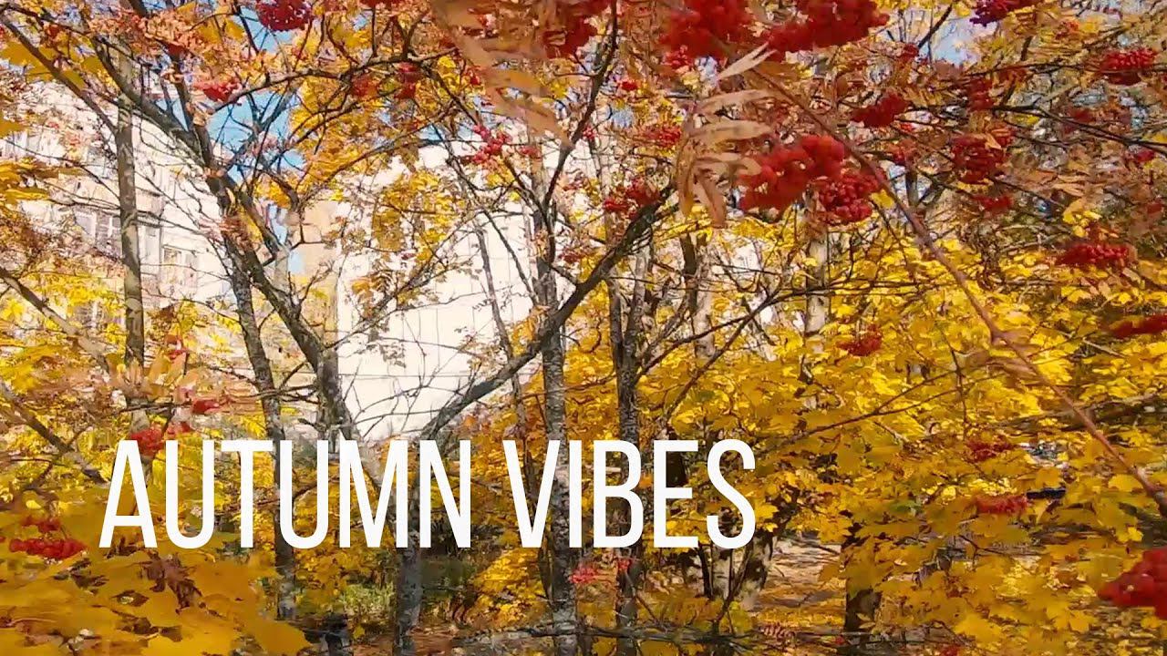 AUTUMN VIBES | Осенние мотивы (Сертолово, 2021)