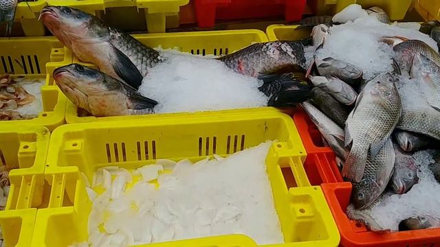 старый Акко - 2